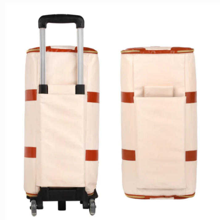 Denzla Duffle Foldable Travel Bag